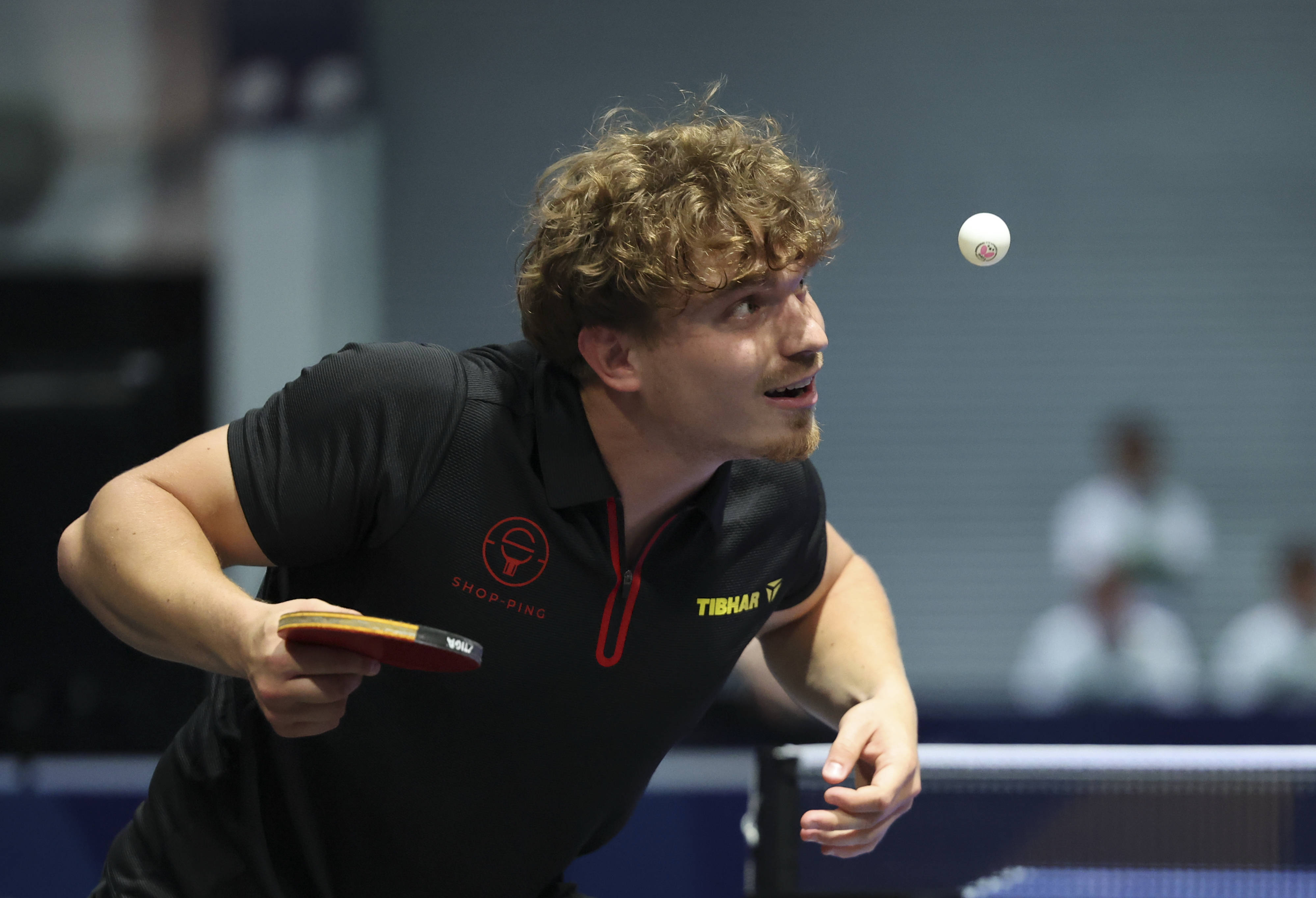 关于比利时乒乓球队横扫波兰乒乓球队，波尔完成帽子戏法的信息