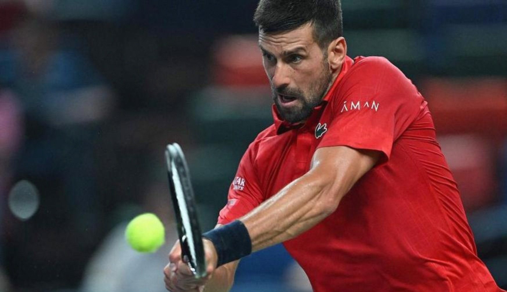 世界网球队完胜意大利网球队，德约科维奇制霸全场的简单介绍