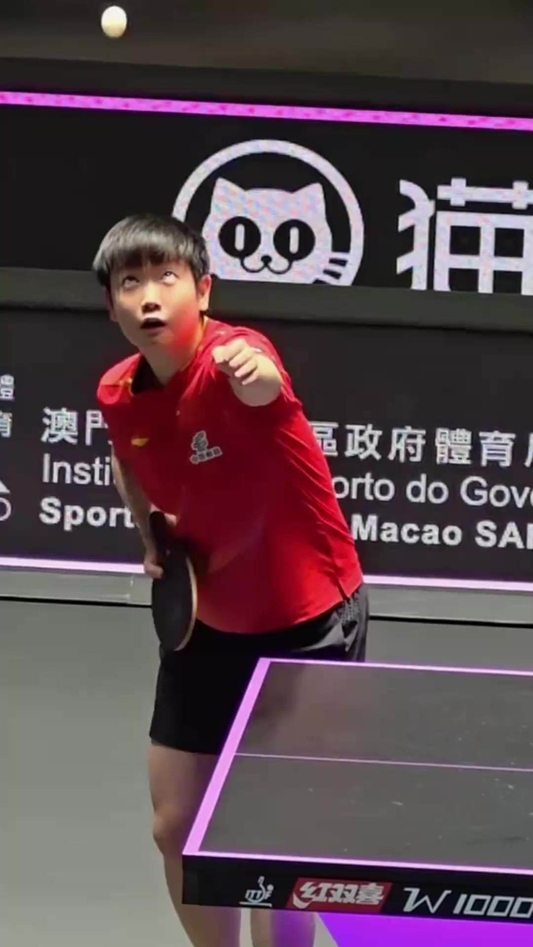 印尼羽毛球队横扫日本羽毛球队，马琳绝境逆转的简单介绍