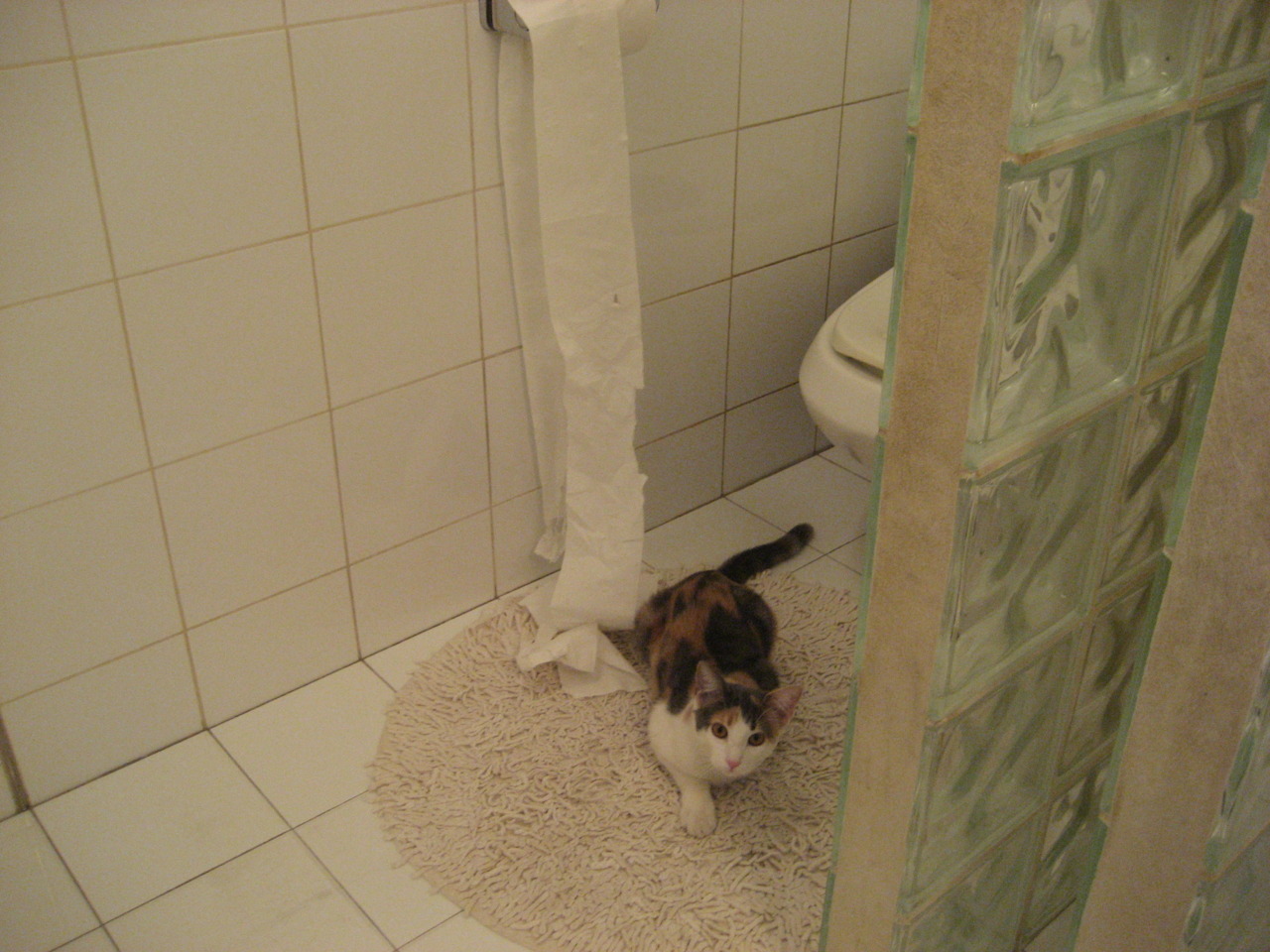 PG电子娱乐在线-街道狂飙与绿茵奇迹，F1上海站焦点战与浙江队亚冠掘金夜